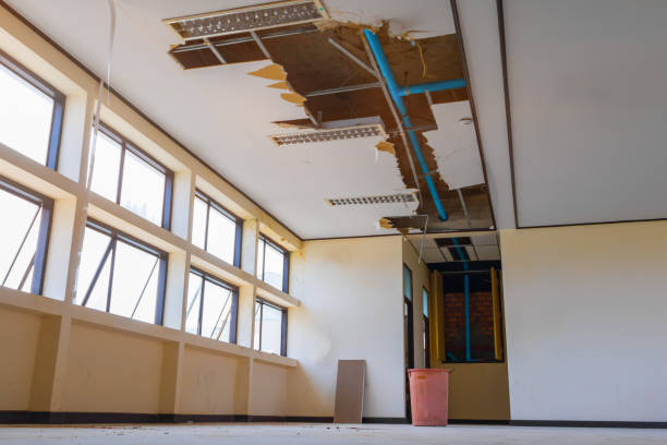 Best Carpet water damage restoration  in Mount Union, PA