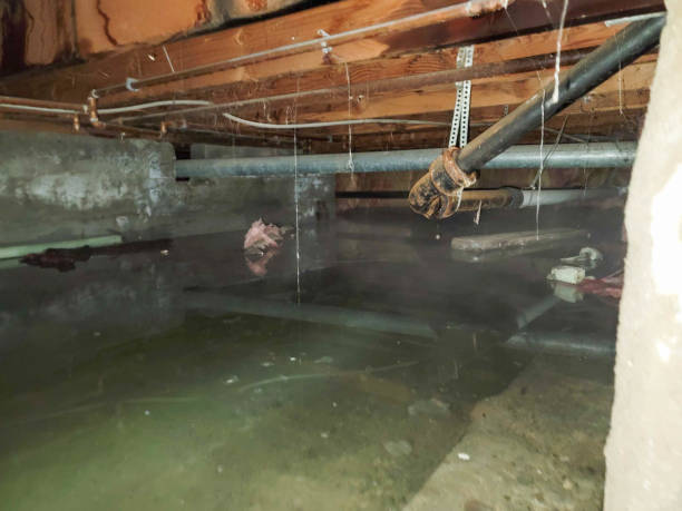 Best Water damage contractors near me  in Mount Union, PA