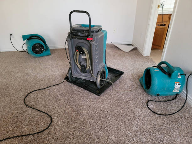 Best Mold removal after water damage  in Mount Union, PA
