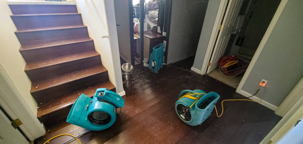 Best Basement water damage restoration  in Mount Union, PA
