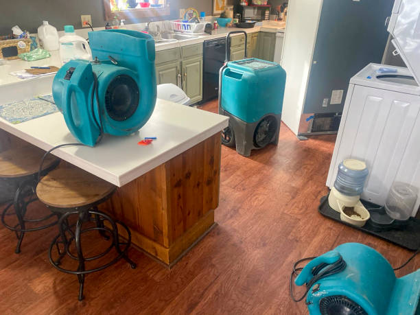 Best Water damage restoration mold remediation  in Mount Union, PA